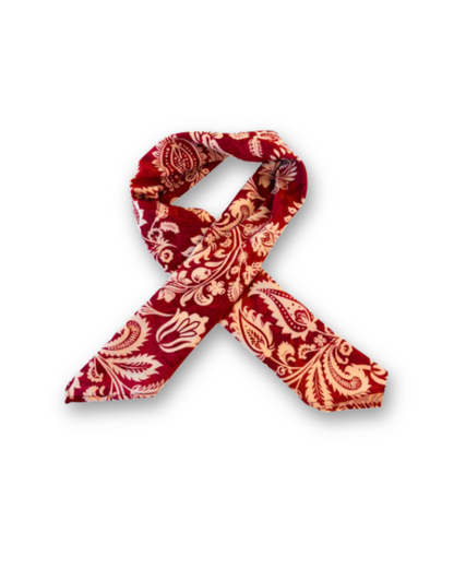 Paisley Scarf