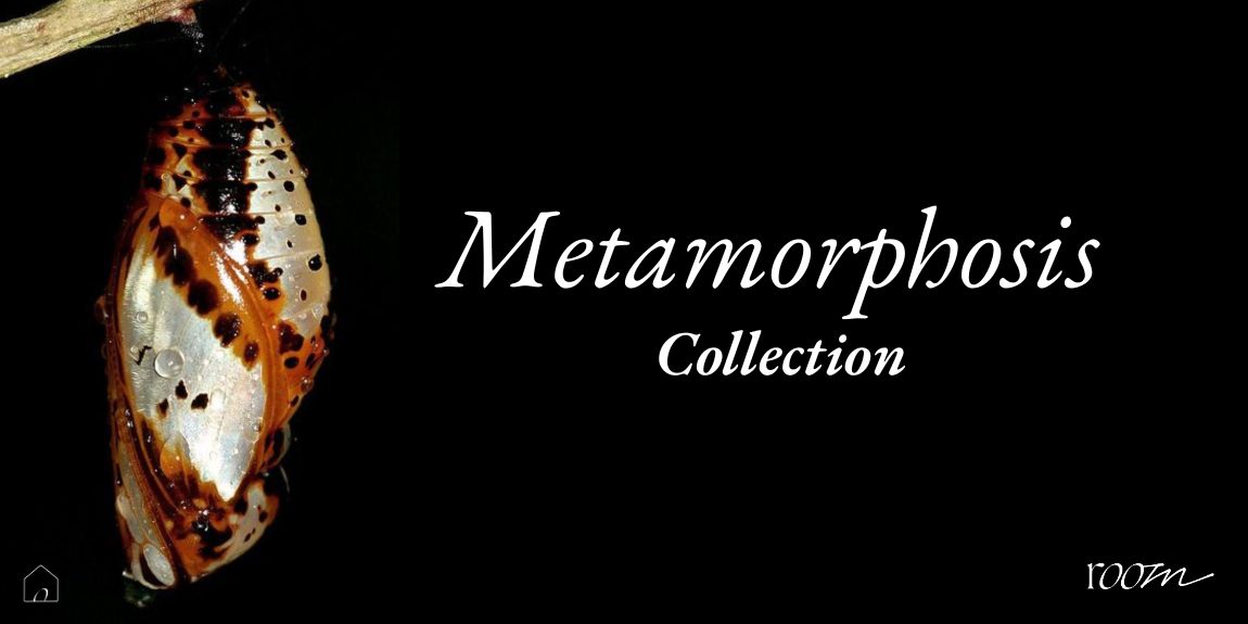 Metamorphosis Collection Banner
